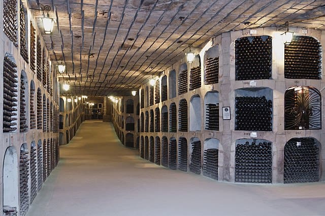 hundreds of wine bottles in cellar