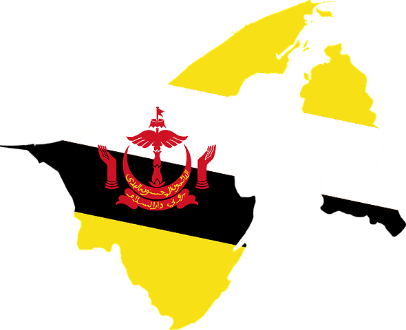 Brunei map and flag