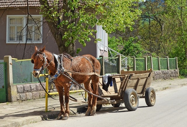 horse cart veliko tarnovo