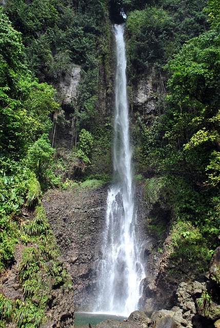 waterfall on dominica tours