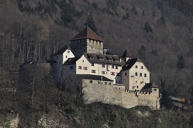 grey and brown roofed vaduz castle