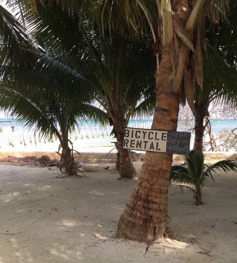 Cykeludlejning palm Tree Caye Caulker Belise