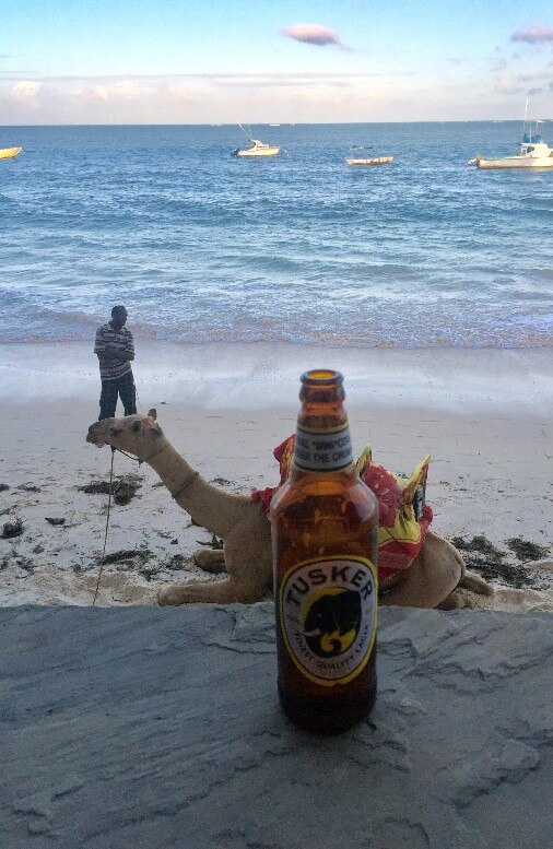 brown Tusker beer bottle in front of camel and ocean with boats