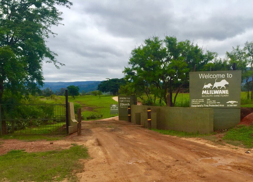 Mlilwane Wildlife Sanctuary entrance things to do in swaziland