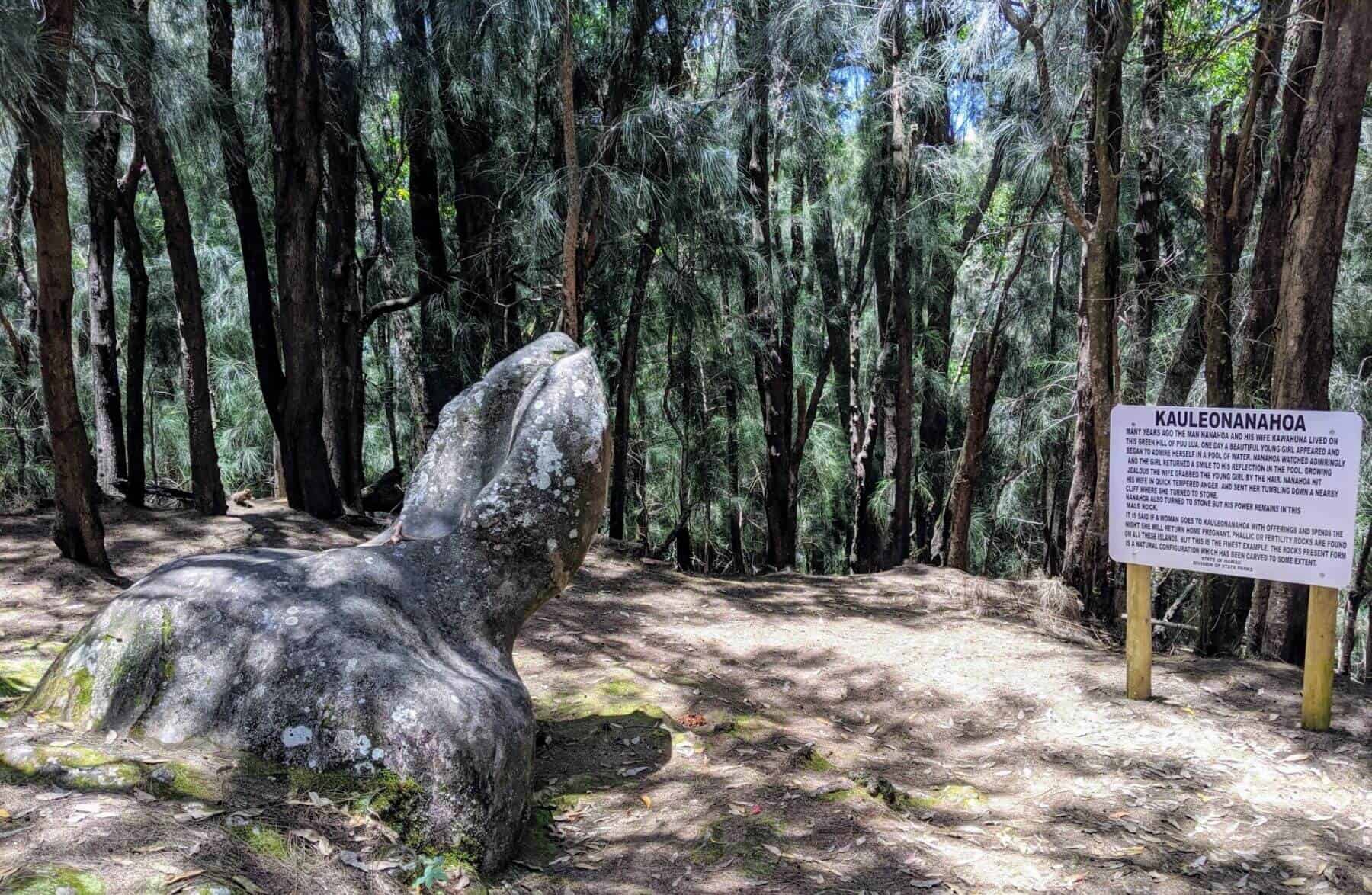 molokai phallic rock and trees