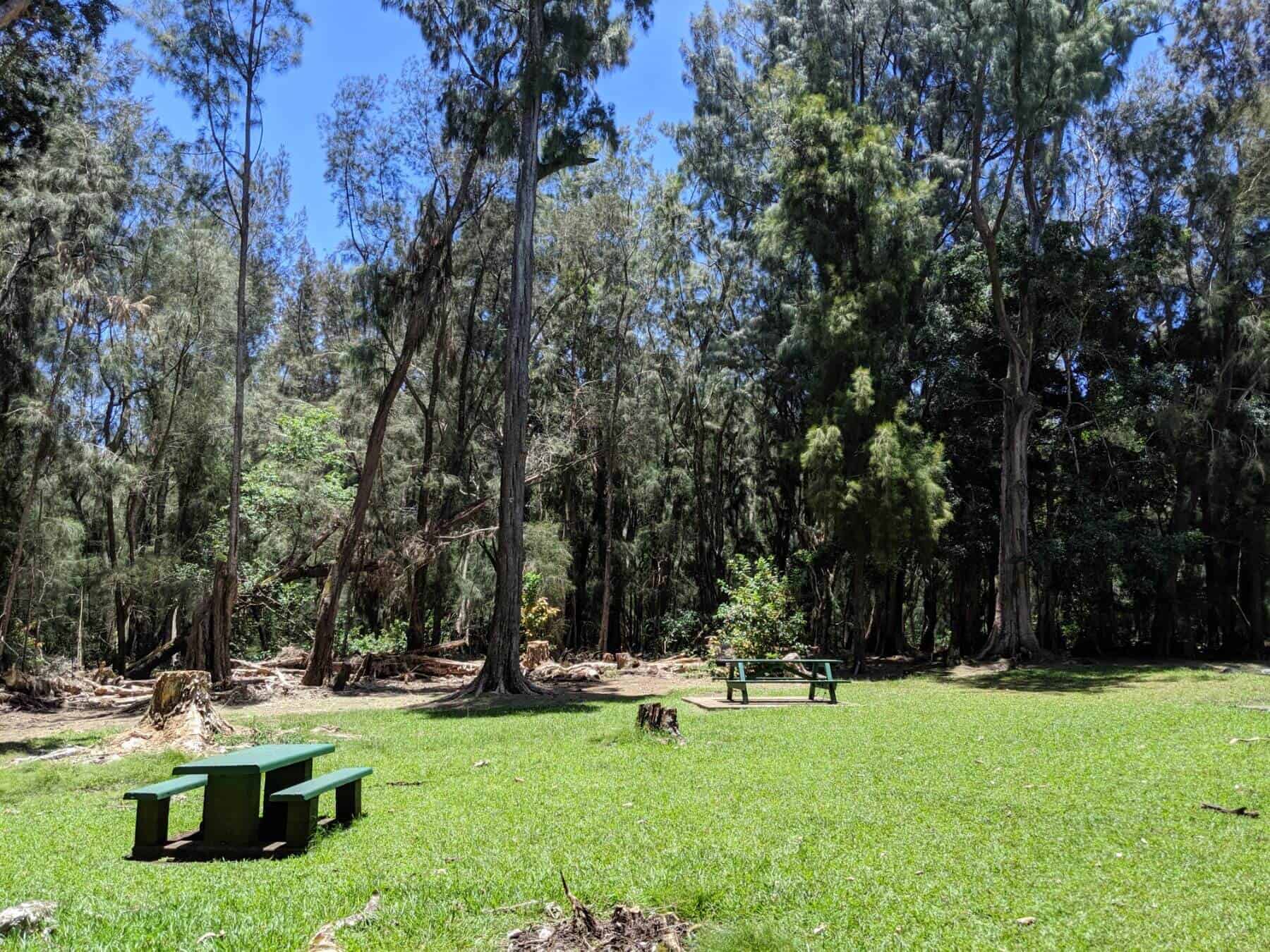 Pala'au State Park picnic tables in grass field with trees