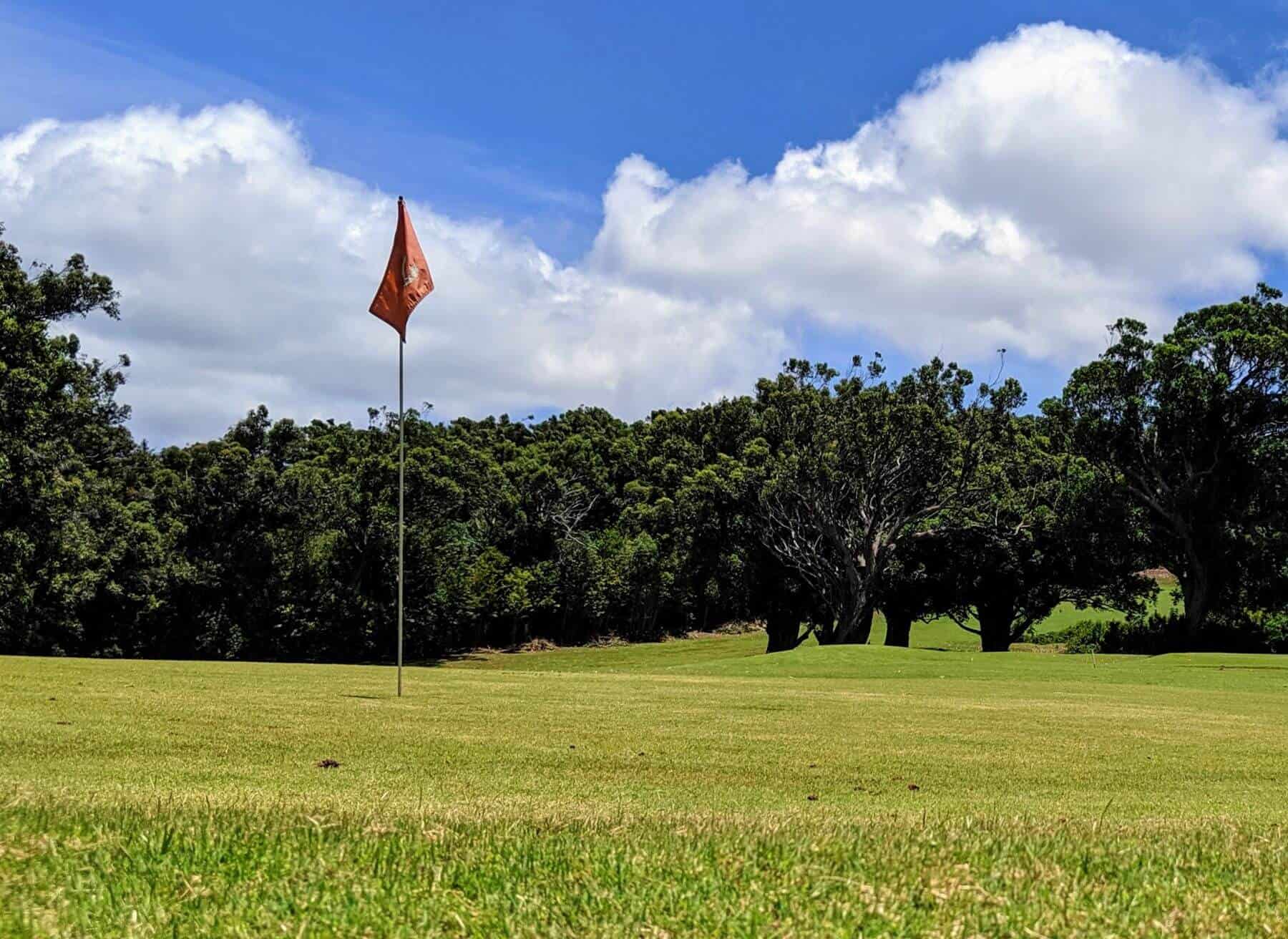 Ironwood Hills Golf Course red flag in hole