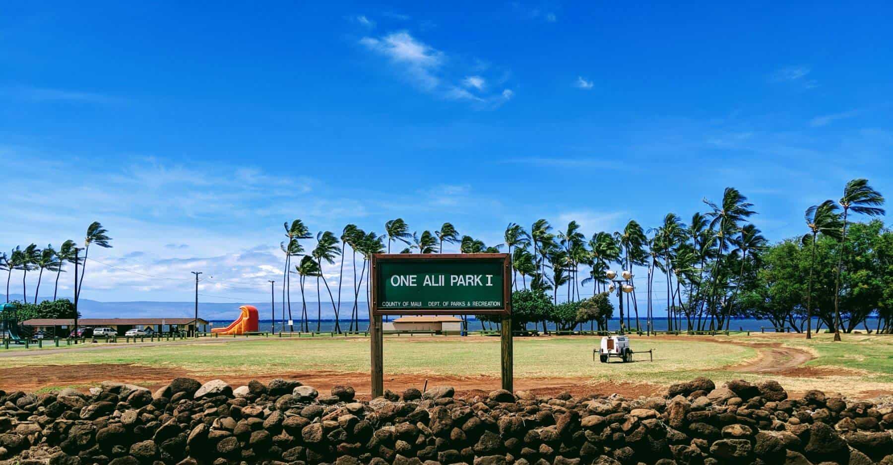one alii park in molokai grass with palm trees and blue sky