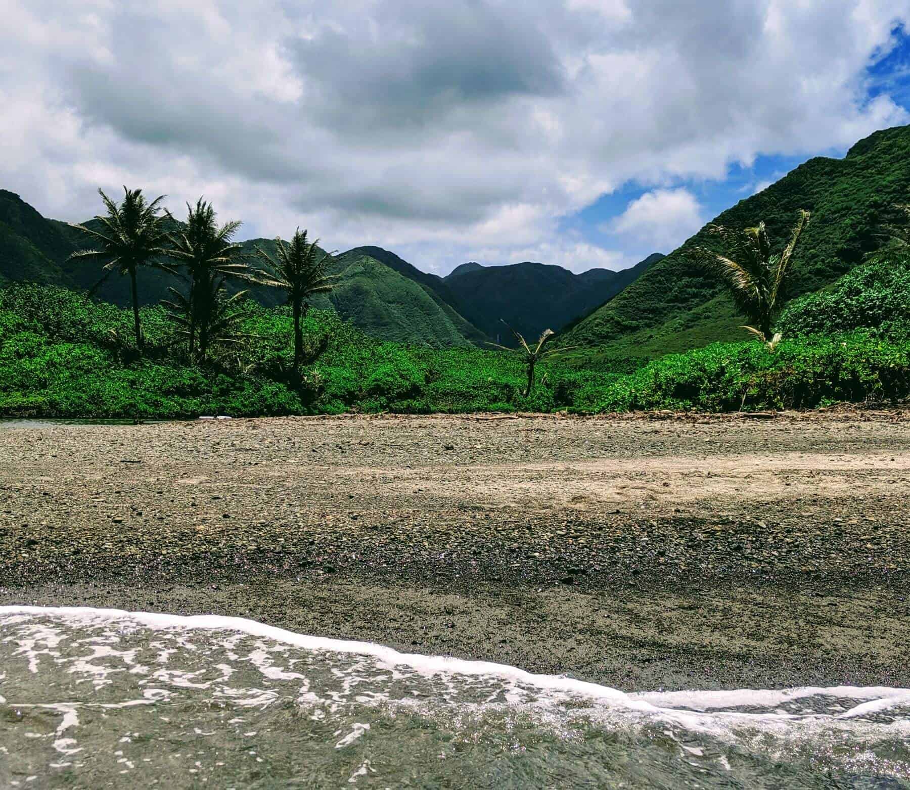 halawa valley forest and palm trees with beach